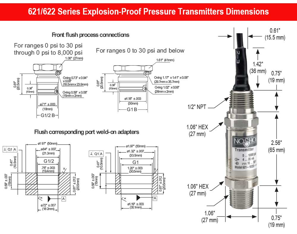 NOSHOK 0-300 PSIG Explosion Proof Pressure Transmitter